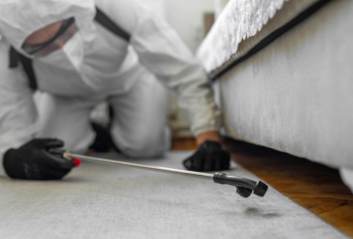 Bed Bug Control