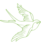 Humane deterrent systems