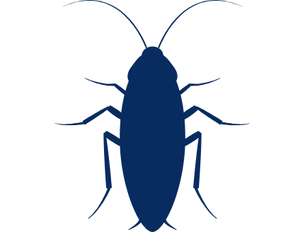 Cockroaches