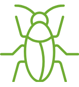 Advanced cockroach inspection