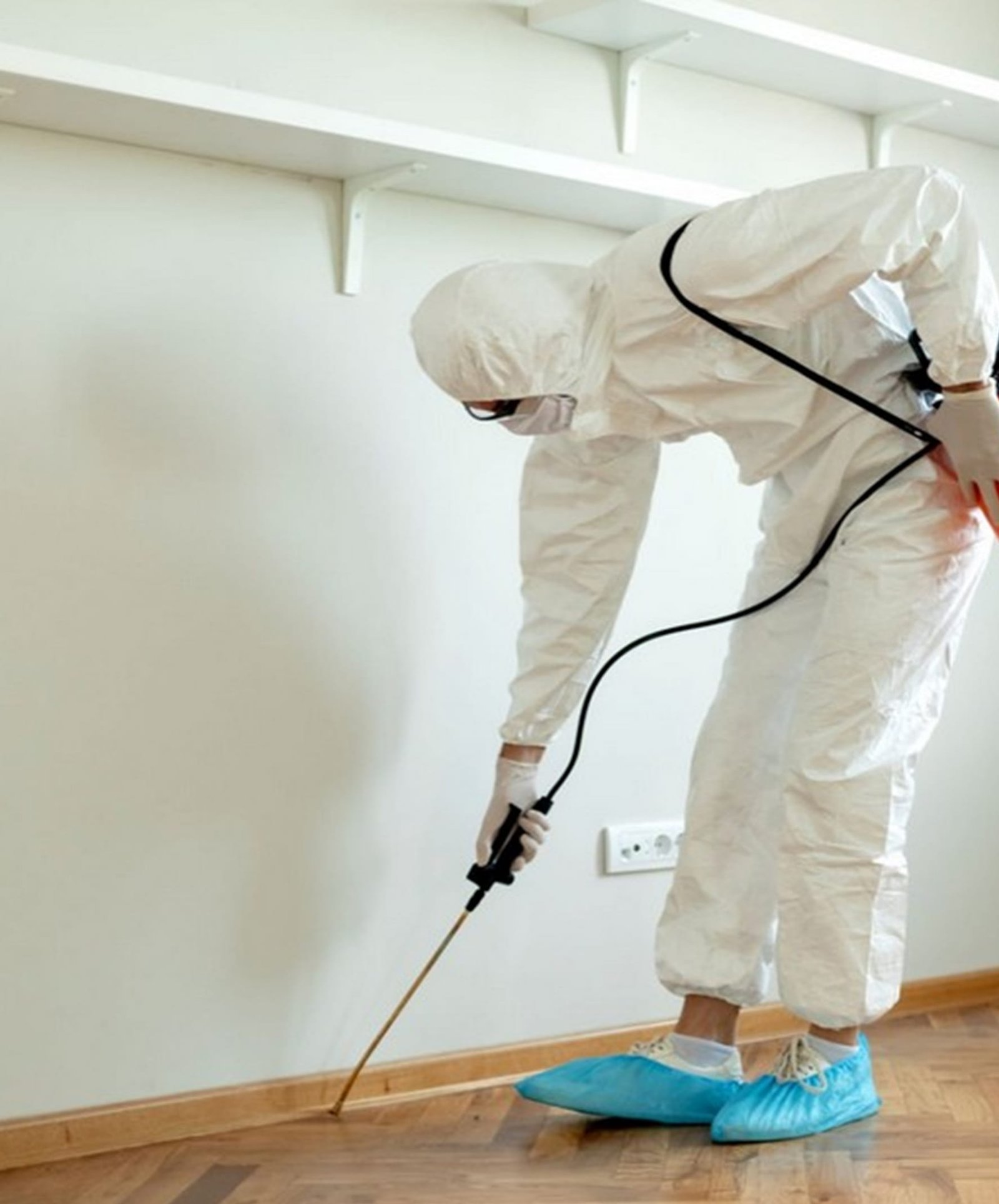 Pest control services in Al Wakrah