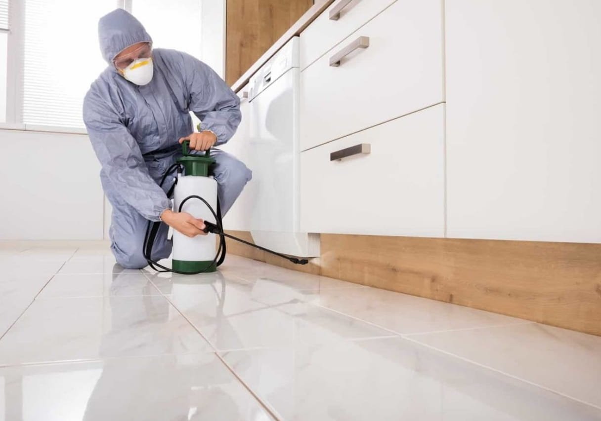 disinfection services in Doha