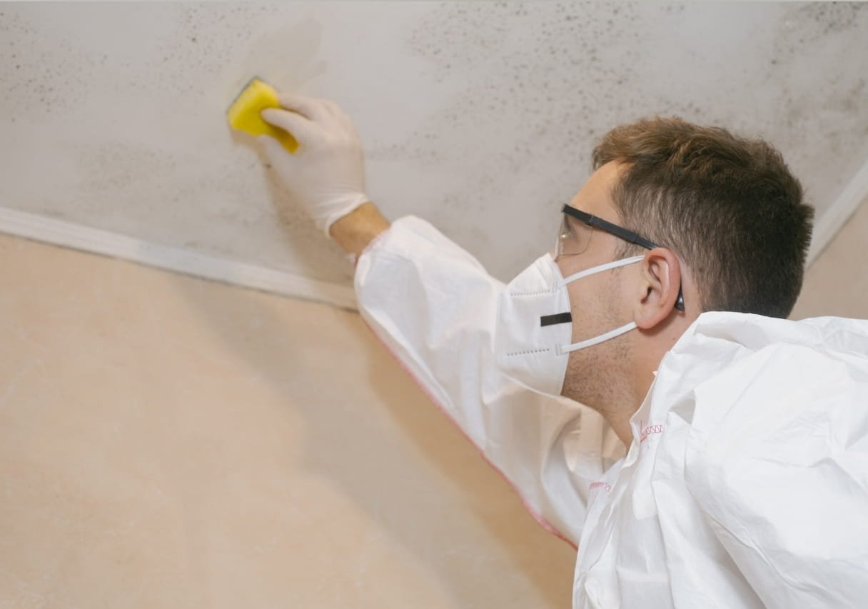 mold in house protect your house from mold in Qatar with pesticide Guard