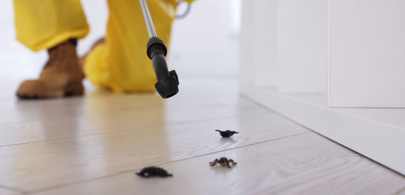 Pest free home in Qatar with Pesticide Guard