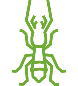 Advanced termite detection